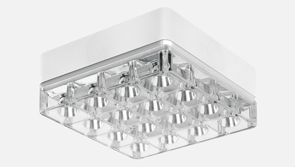 Reggiani Cells Surface
