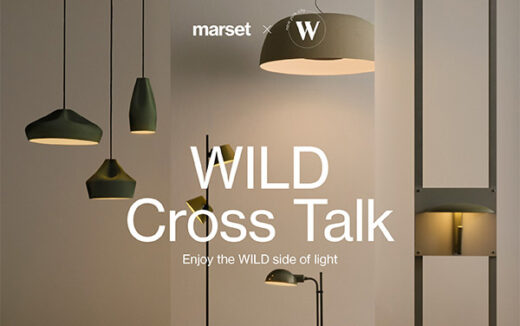 marset-wild-event-eblast-oct2024-feature