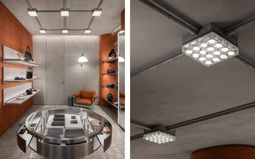 reggiani-cells-eblast-sept2025-feature